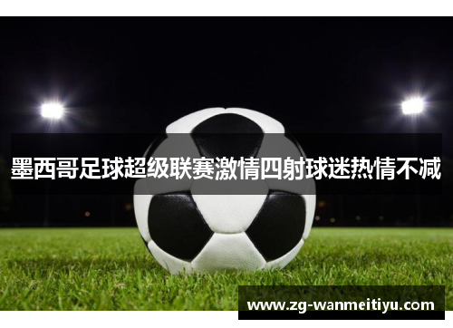 墨西哥足球超级联赛激情四射球迷热情不减